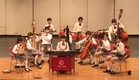 🎵國樂社——以樂傳情,讓傳統文化在旋律中綻放🎵圖片